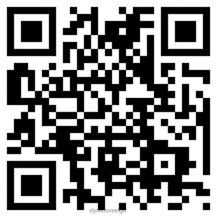 DYMO labelmanager 500ts etikettmaskin B4VJ19 labelmanager