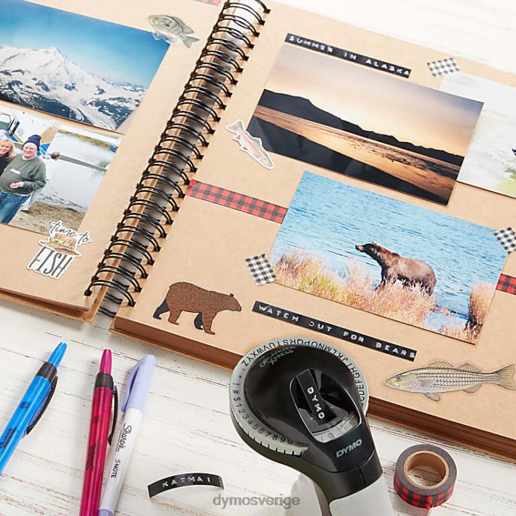 DYMO express pro handhållen embosser B4VJ13 etikettmaskin