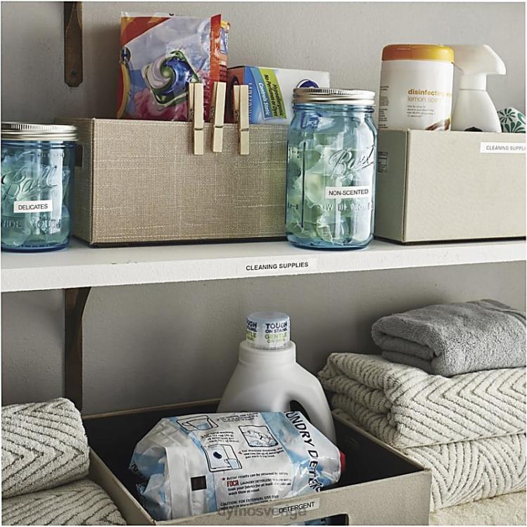 DYMO letratag lt-100t plus B4VJ11 etikettmaskin